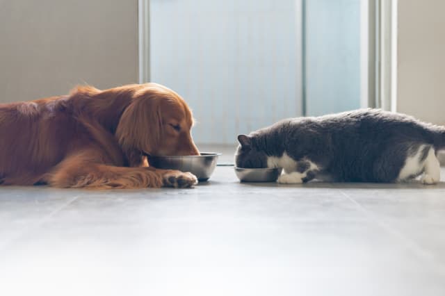 Такие разные мы (постер)