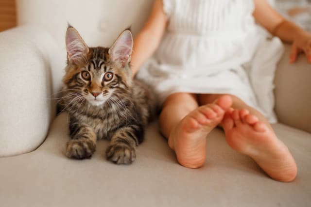 Как подружить питомца с ребенком: особенности воспитания