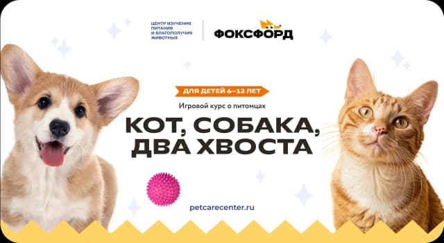 «Кот, собака, два хвоста»: бесплатный курс для детей