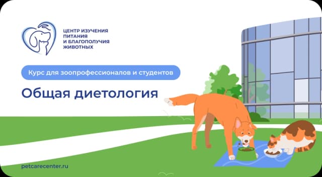 Центр запустил профессиональный курс по диетологии собак и кошек 