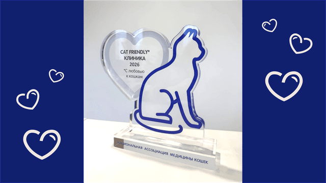 Центр изучения питания и благополучия животных принял участие в Дне ветеринарии кошек 2026