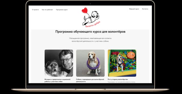 «Визиты добра»: образовательный проект для волонтеров с участием собак