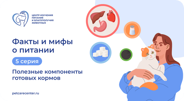 Зола, субпродукты, сахар и соль в корме: 4 факта о компонентах готовых рационов