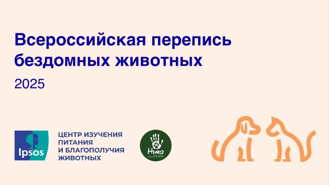 Всероссийская перепись бездомных животных 2025