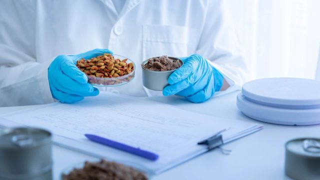Всё под контролем! Регулирование сферы производства готовых кормов в России