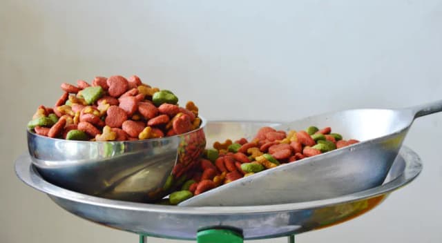 Что такое сбалансированное питание для домашних животных? Что такое сбалансированное питание для домашних животных?