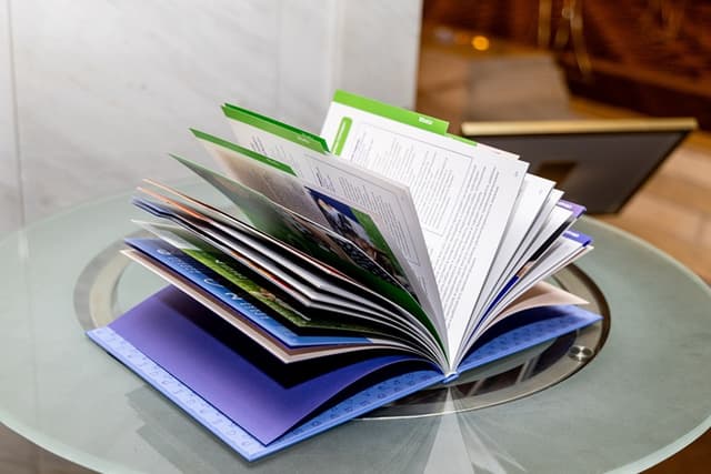 «Вместе» с питомцем: вышла первая в России книга о дружелюбной к животным культуре «Вместе» с питомцем: вышла первая в России книга о дружелюбной к животным культуре