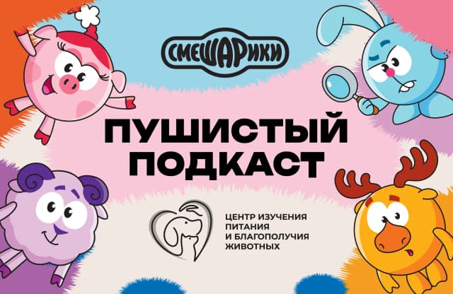 Почему кошки спят в коробках? «Смешарики» и Центр выпустили «Пушистый подкаст» Почему кошки спят в коробках? «Смешарики» и Центр выпустили «Пушистый подкаст»