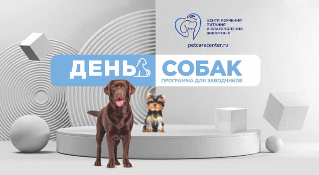 Онлайн-конференция «День собак»: современные знания о здоровье и благополучии собак Онлайн-конференция «День собак»: современные знания о здоровье и благополучии собак