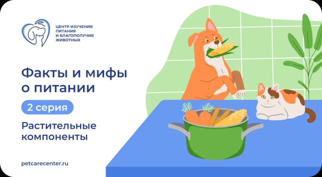 Неочевидная ценность: роль растительных компонентов в рационе питомцев Неочевидная ценность: роль растительных компонентов в рационе питомцев