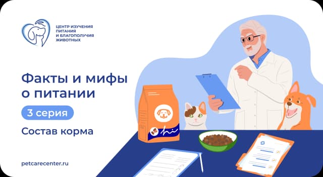 Вся правда о составе готовых кормов: 4 факта, которые должен знать каждый Вся правда о составе готовых кормов: 4 факта, которые должен знать каждый