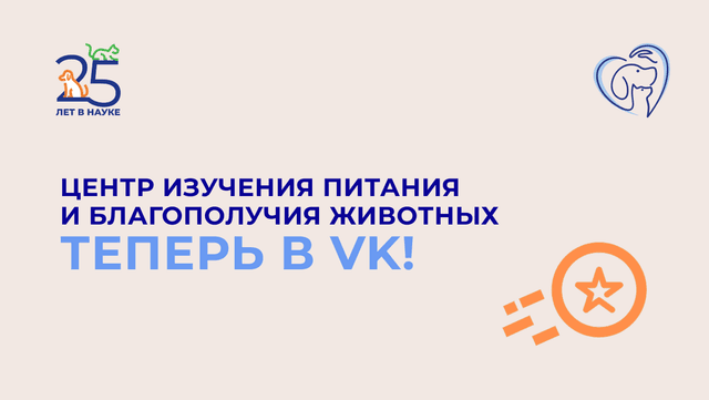 В год своего 25-летия Центр запустил официальное сообщество во «ВКонтакте» В год своего 25-летия Центр запустил официальное сообщество во «ВКонтакте»