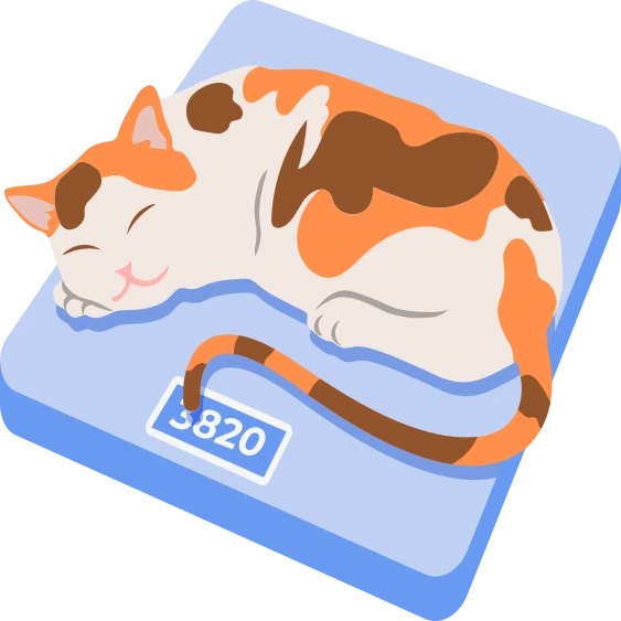 Кошечка спит на весах