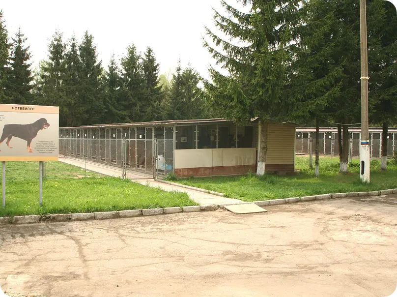 Вольеры для собак