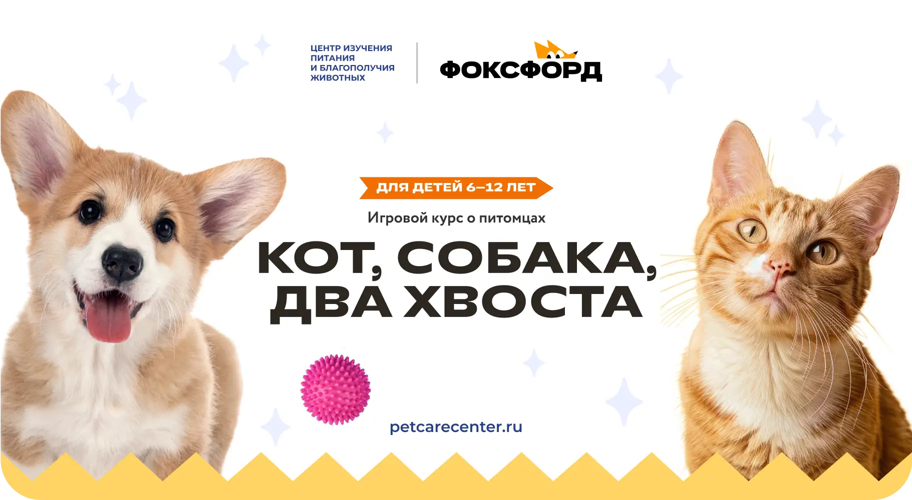 «Кот, собака, два хвоста»: бесплатный курс для детей «Кот, собака, два хвоста»: бесплатный курс для детей