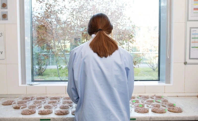 Исследования вкусовой привлекательности готовых кормов