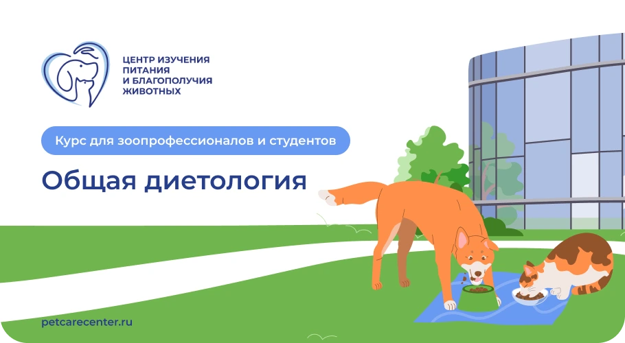 Центр запустил профессиональный курс по диетологии собак и кошек 