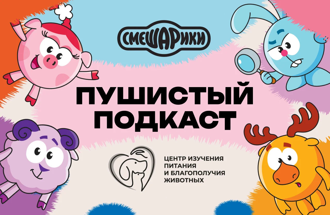 Почему кошки спят в коробках? «Смешарики» и Центр выпустили «Пушистый подкаст» Почему кошки спят в коробках? «Смешарики» и Центр выпустили «Пушистый подкаст»