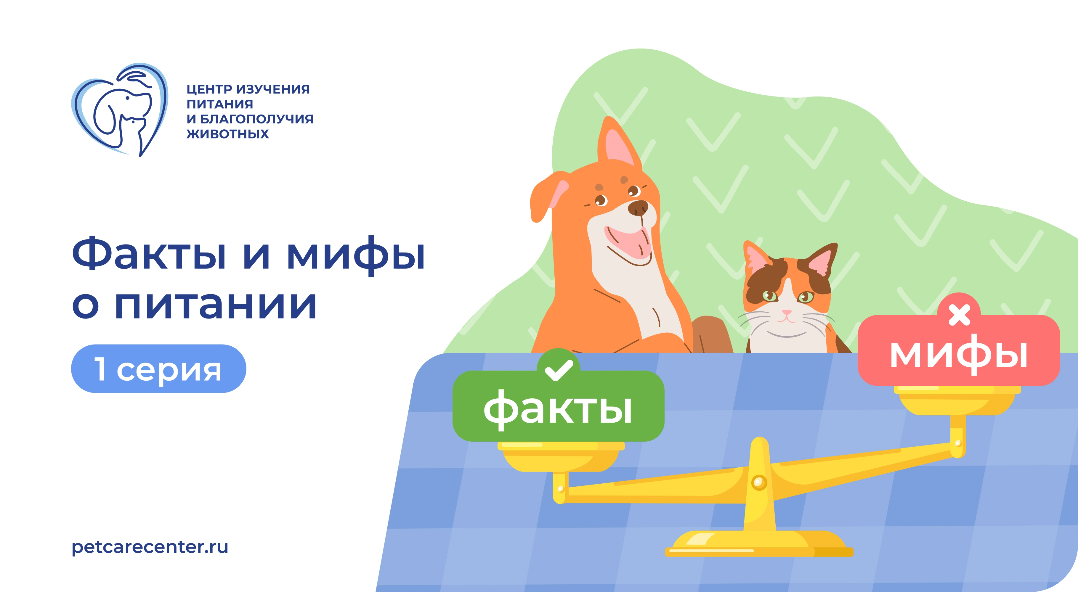 Опасно или полезно: о готовых кормах и домашней пище