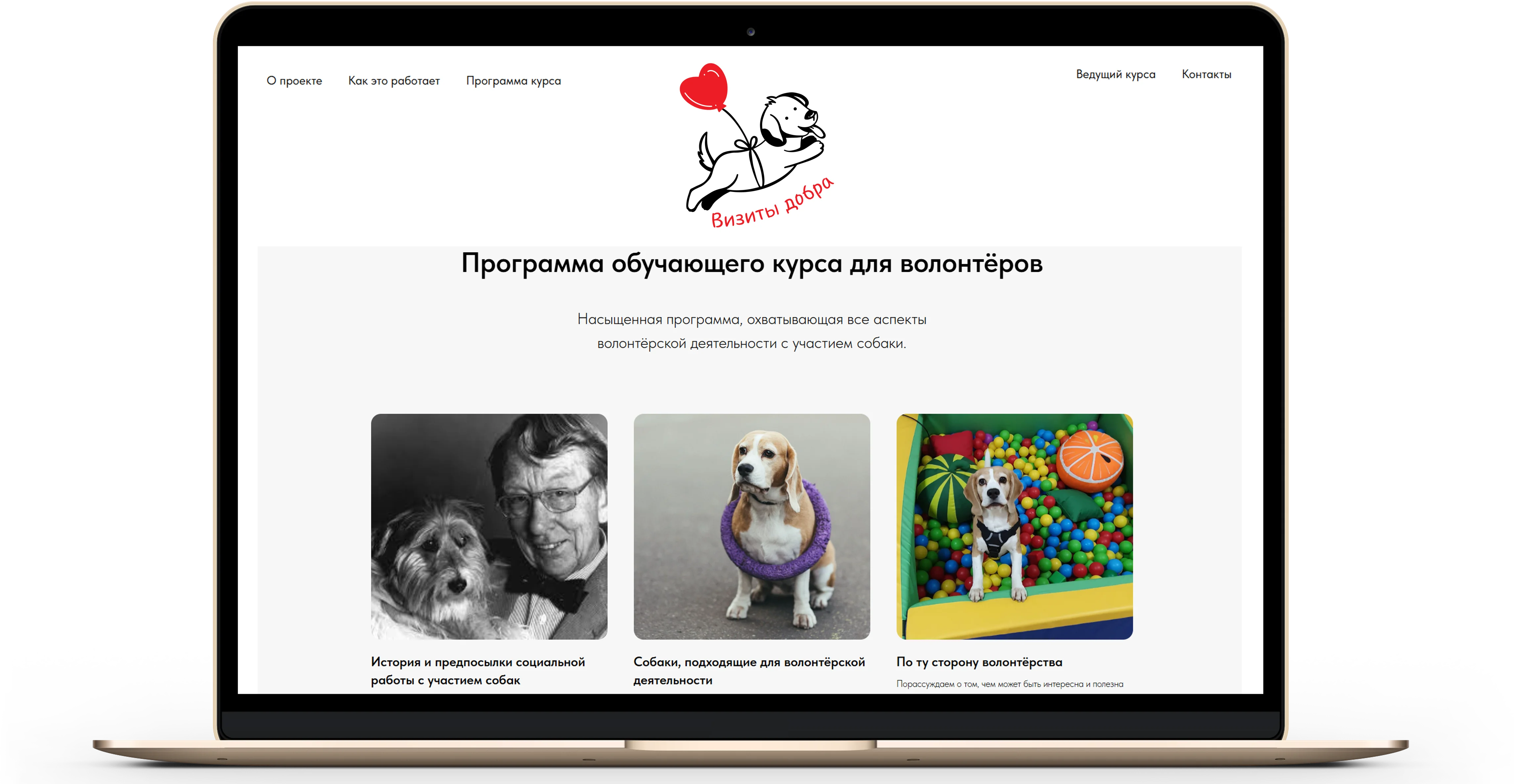 «Визиты добра»: образовательный проект для волонтеров с участием собак
