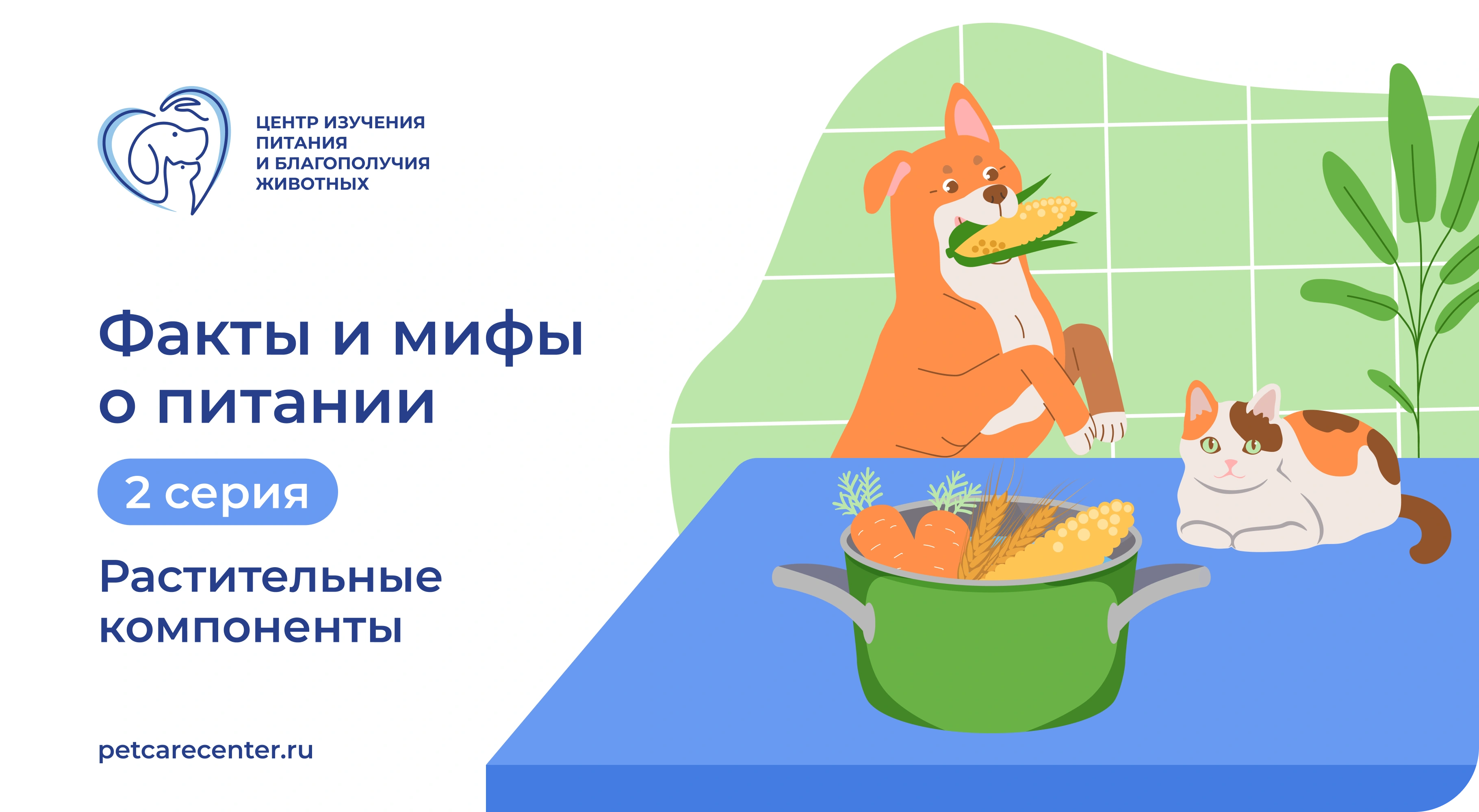Неочевидная ценность: роль растительных компонентов в рационе питомцев