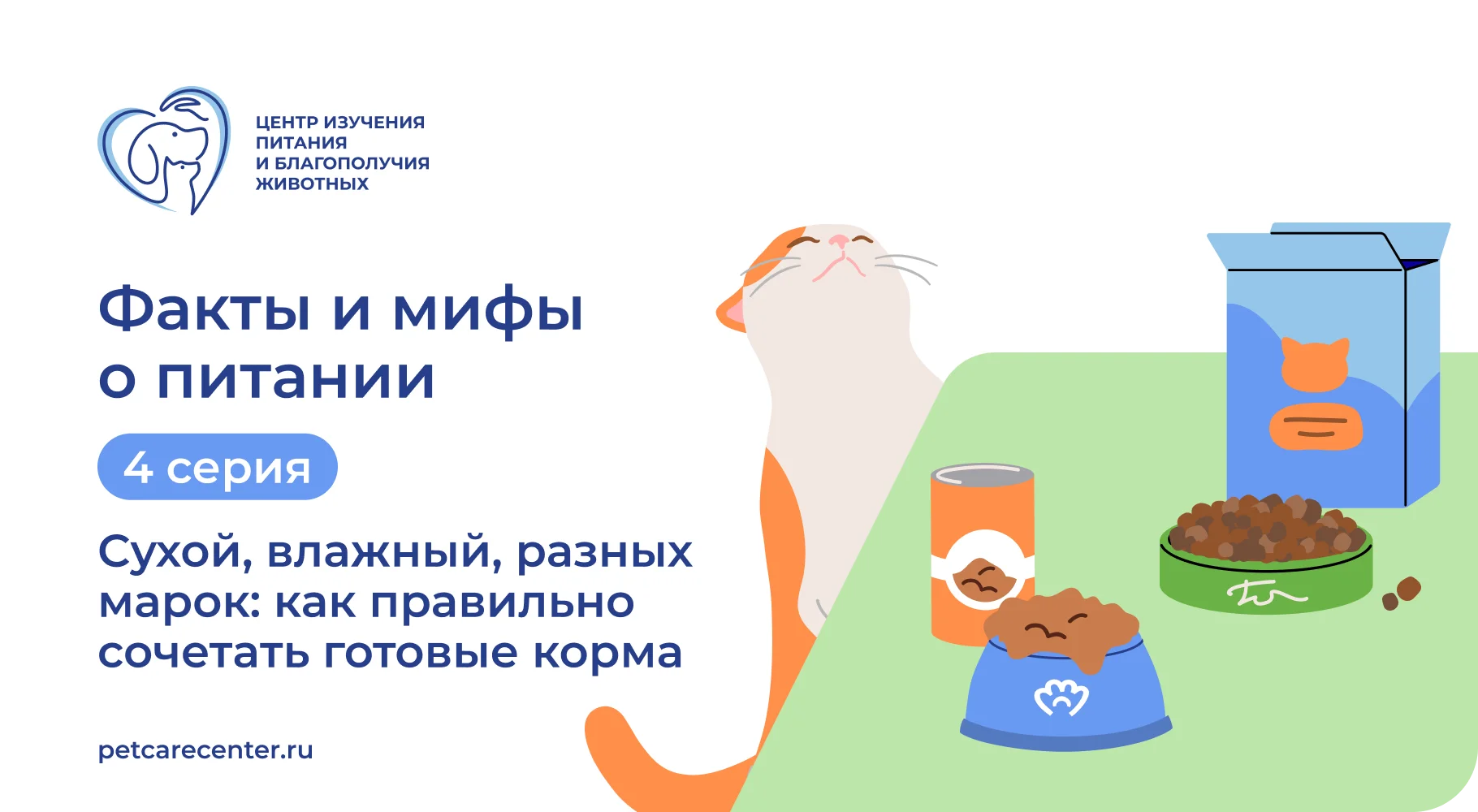 Можно ли сочетать сухой и влажный корм: 4 факта Можно ли сочетать сухой и влажный корм: 4 факта