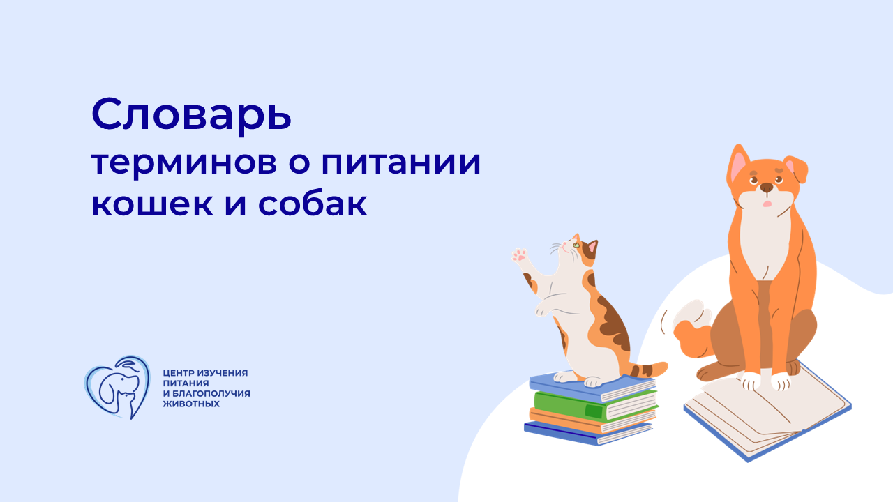 Центр изучения питания и благополучия животных выпустил онлайн-словарь терминов по питанию кошек и собак Центр изучения питания и благополучия животных выпустил онлайн-словарь терминов по питанию кошек и собак