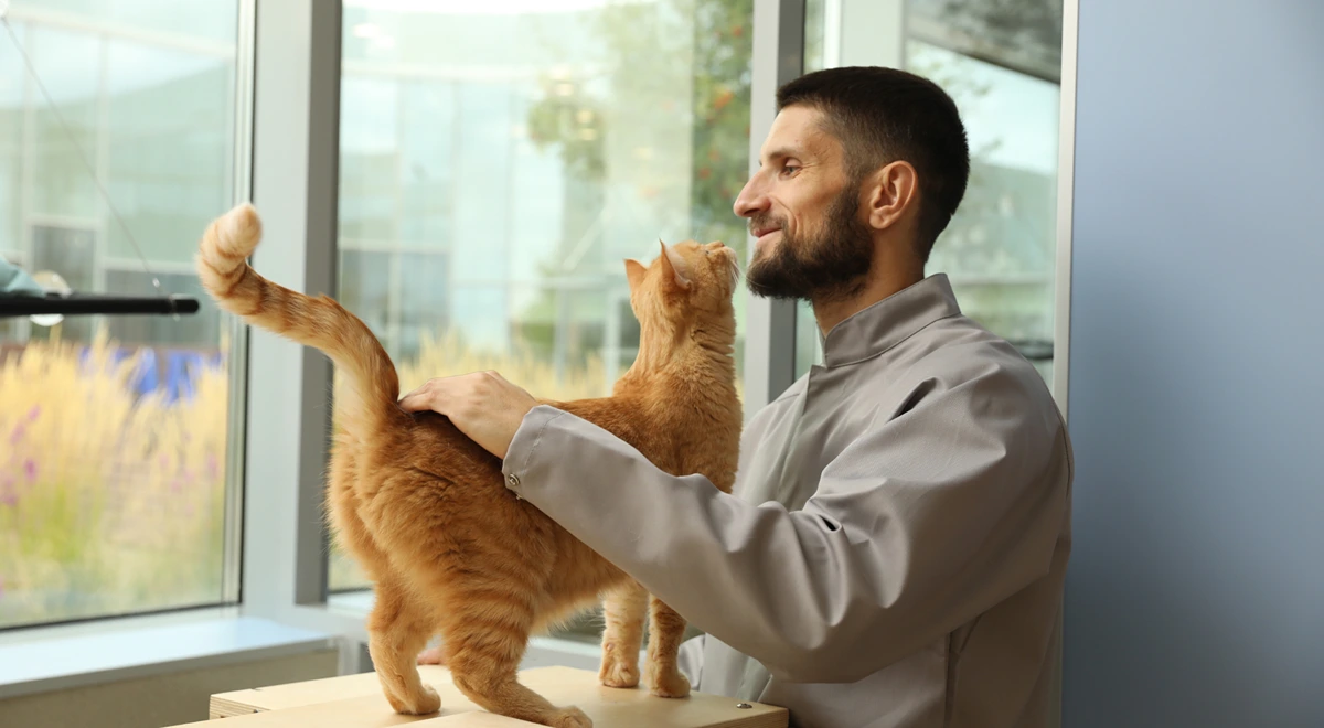 Мужчина гладит кота