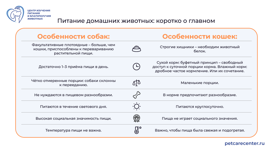 Коротко о различиях в питании кошек и собак