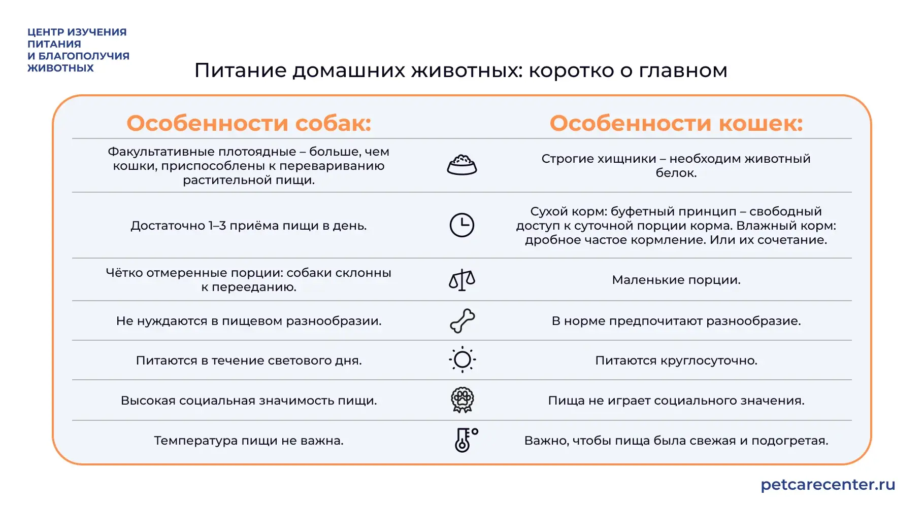 Коротко о различиях в питании кошек и собак