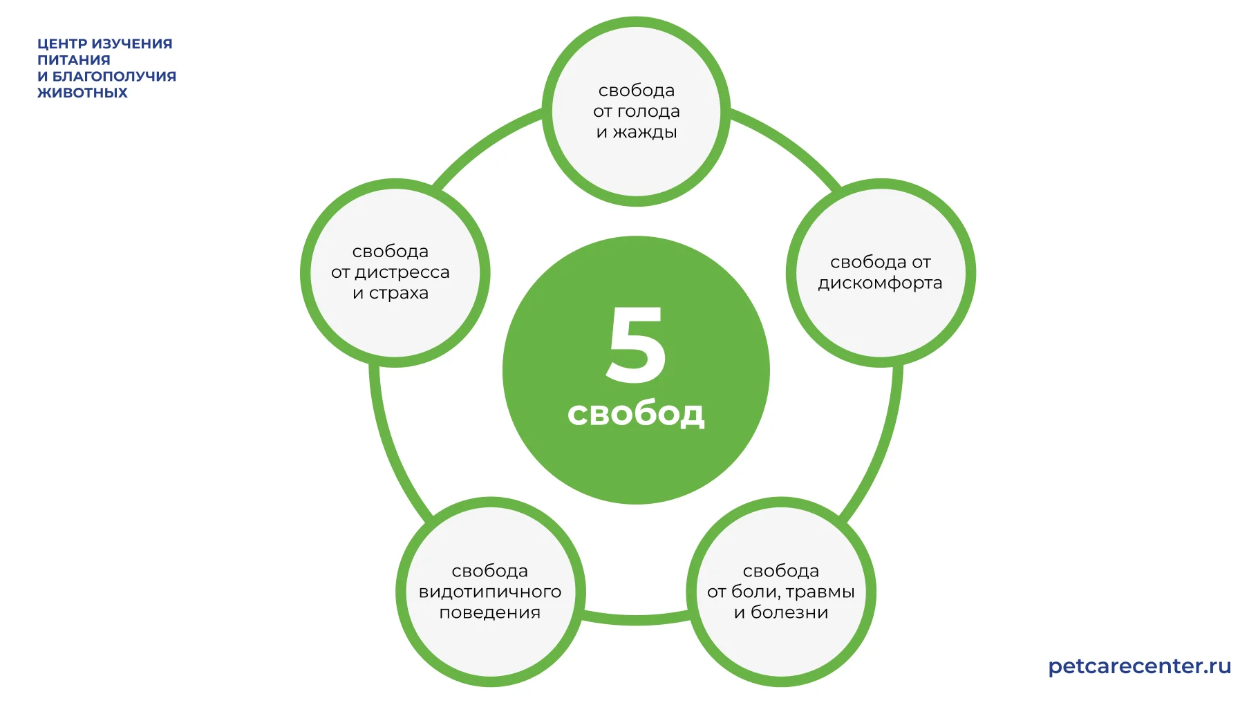 Концепция пяти свобод: условия проживания, рацион, поведение, общение и здоровье