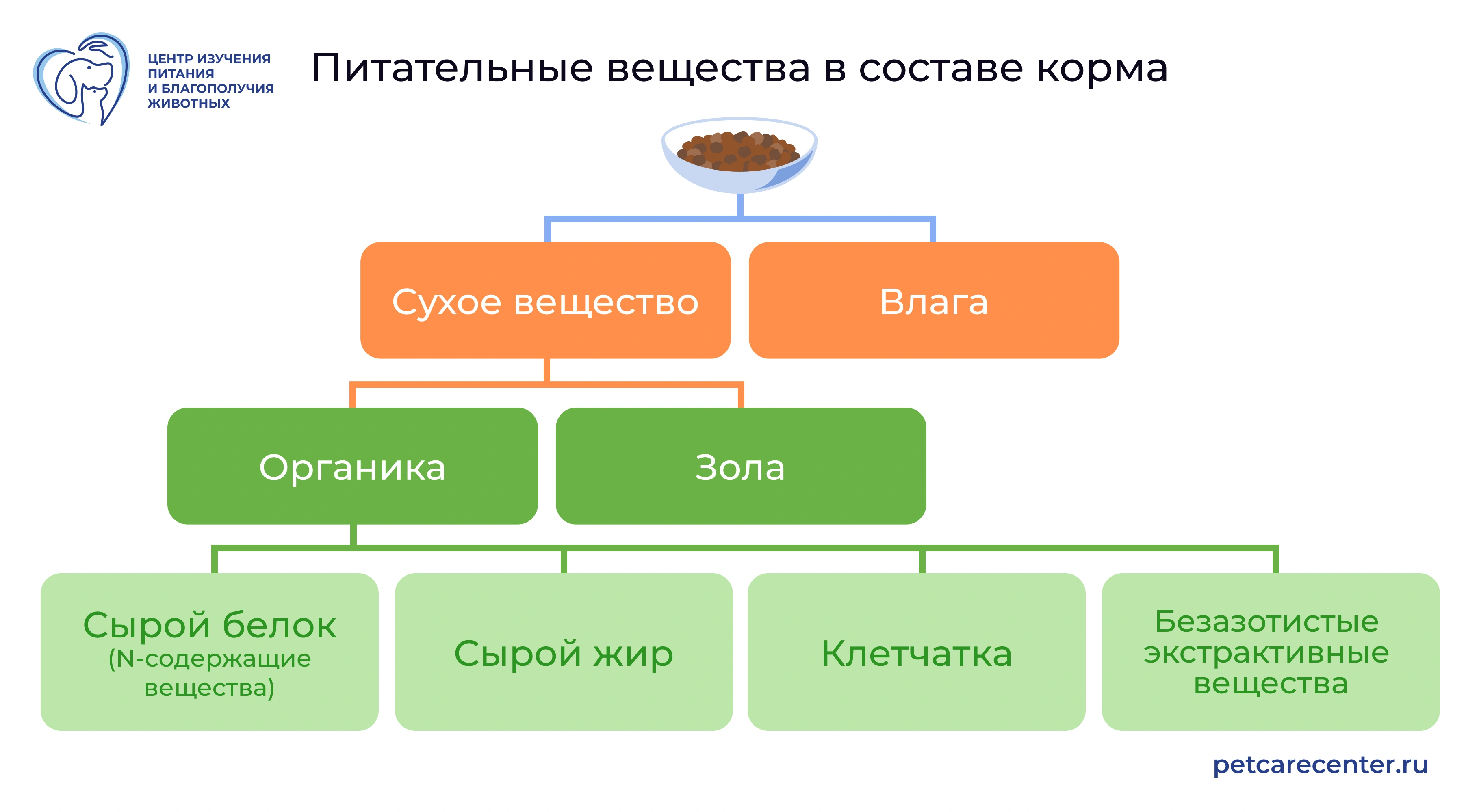 Питательные вещества в составе корма