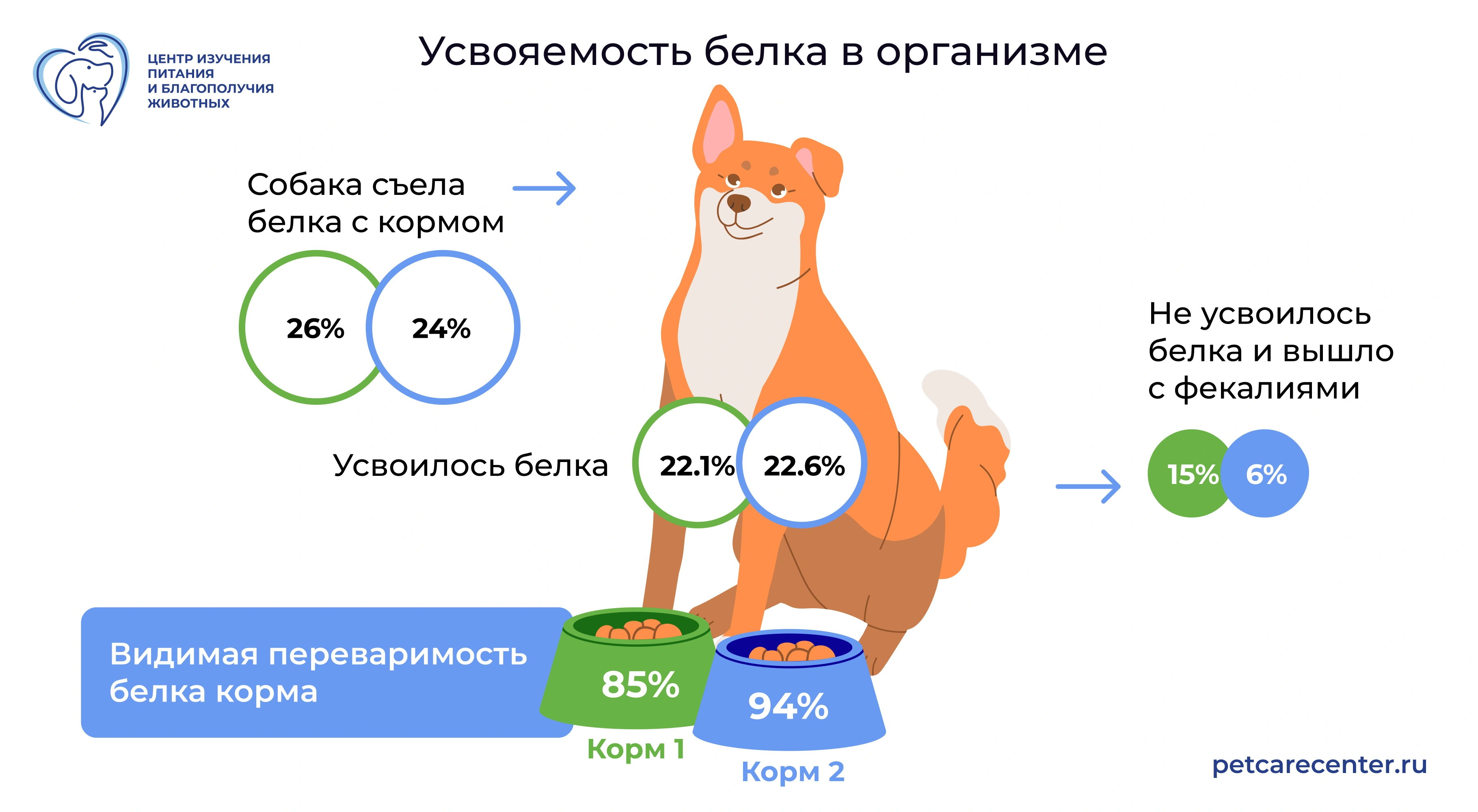 Усвояемость белка в организме