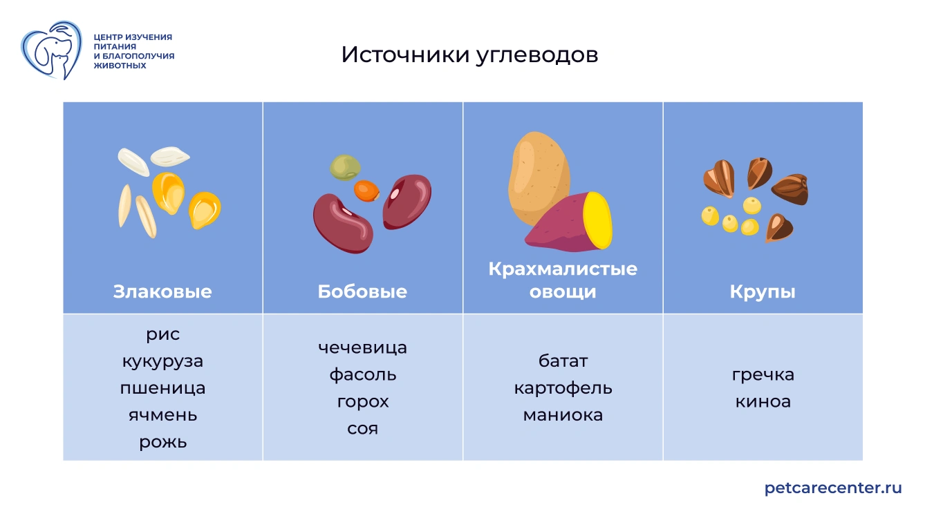 Источники углеводов