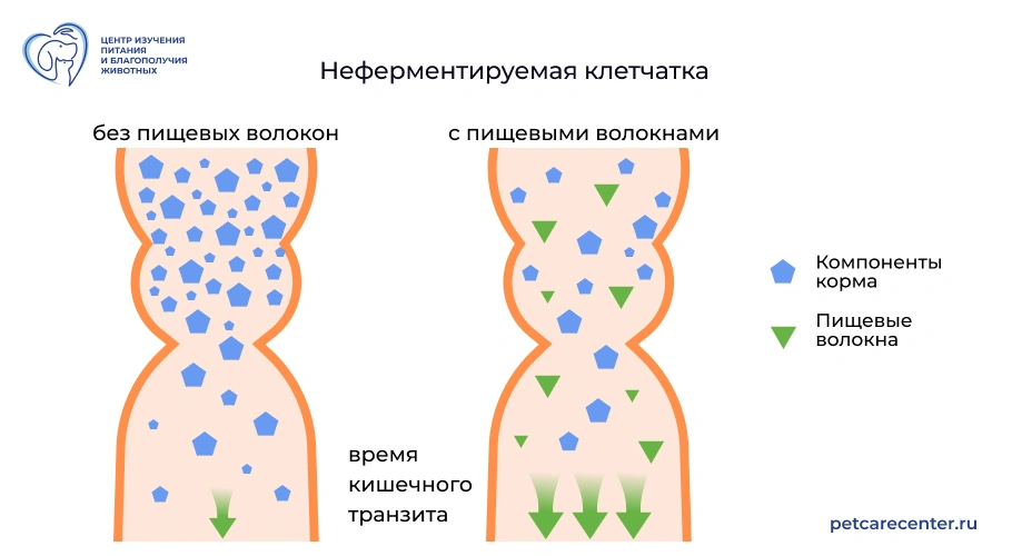 Неферментируемая клетчатка