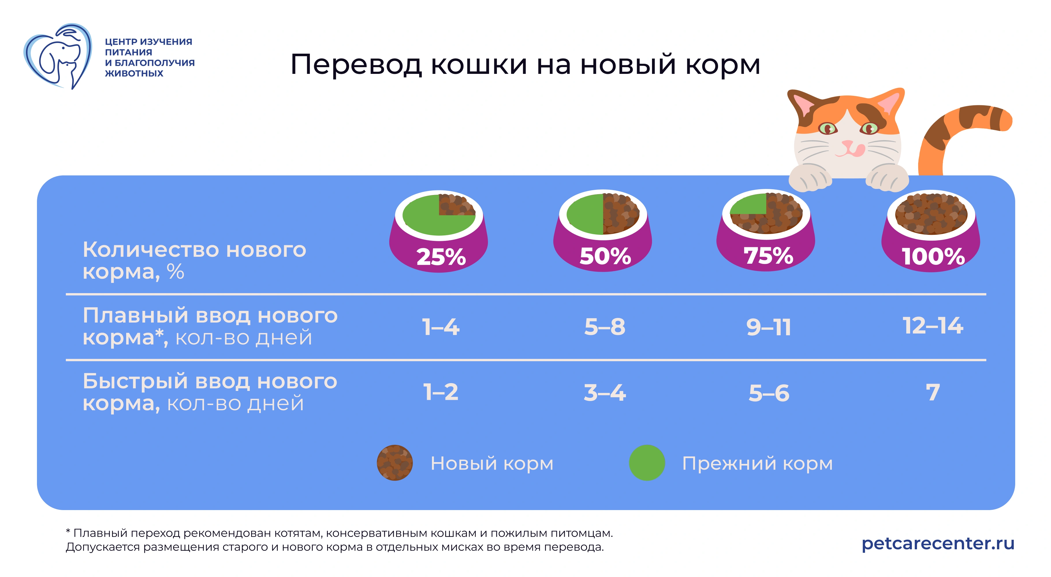 Схема перевода кошки на новый корм: 25, 50, 75 и 100 процентов по дням Схема перевода кошки на новый корм: 25, 50, 75 и 100 процентов по дням