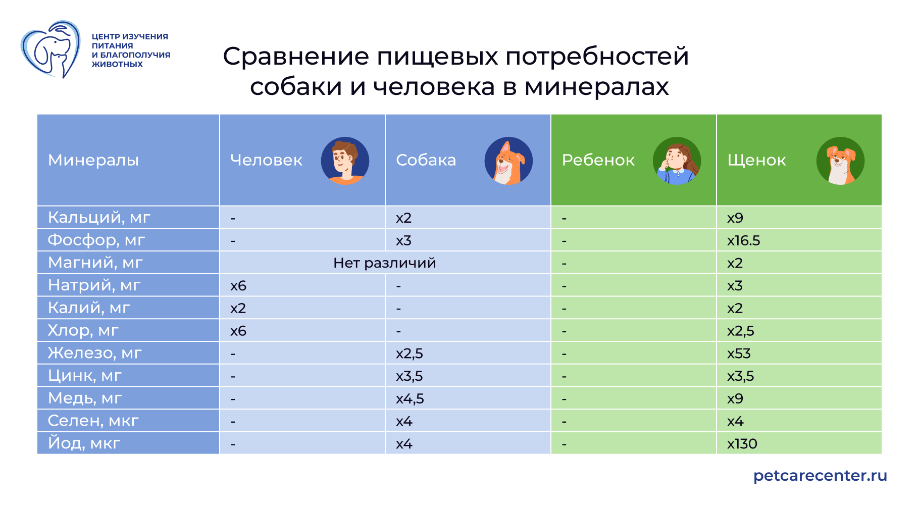 Таблица: во сколько раз потребности собаки и щенка в минералах отличаются от потребностей человека и ребёнка