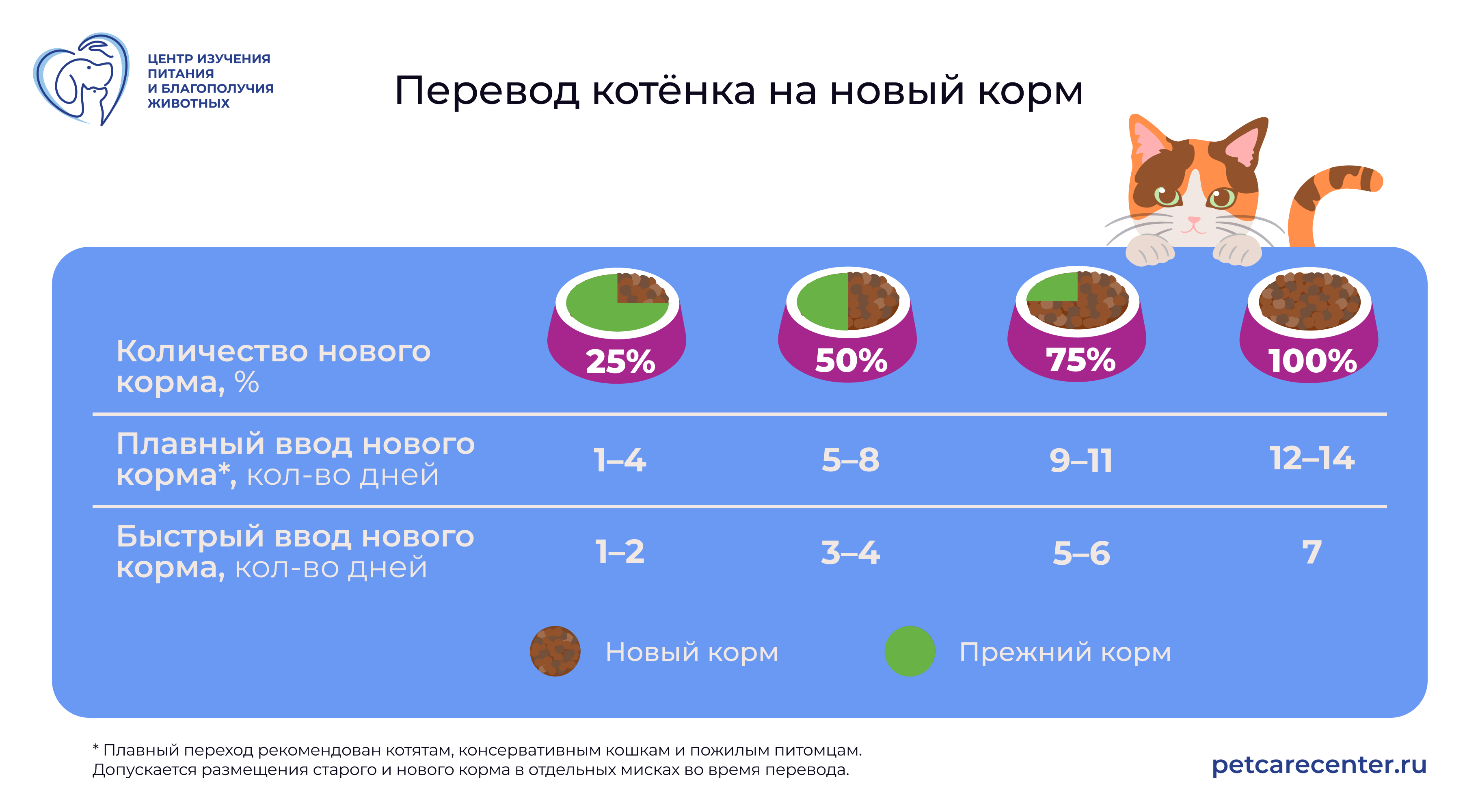 Перевод котёнка на новый корм