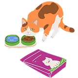 Корм с карточками "Факт" или "Миф"