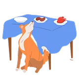 Корм с карточками "Факт" или "Миф"