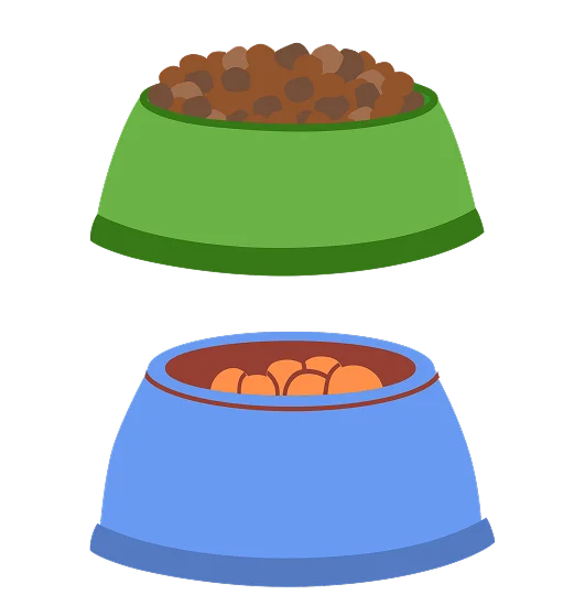 Корм с карточками "Факт" или "Миф"