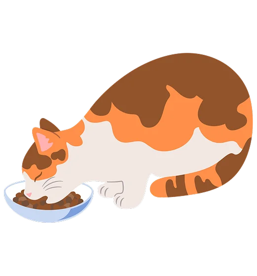 Корм с карточками "Факт" или "Миф"